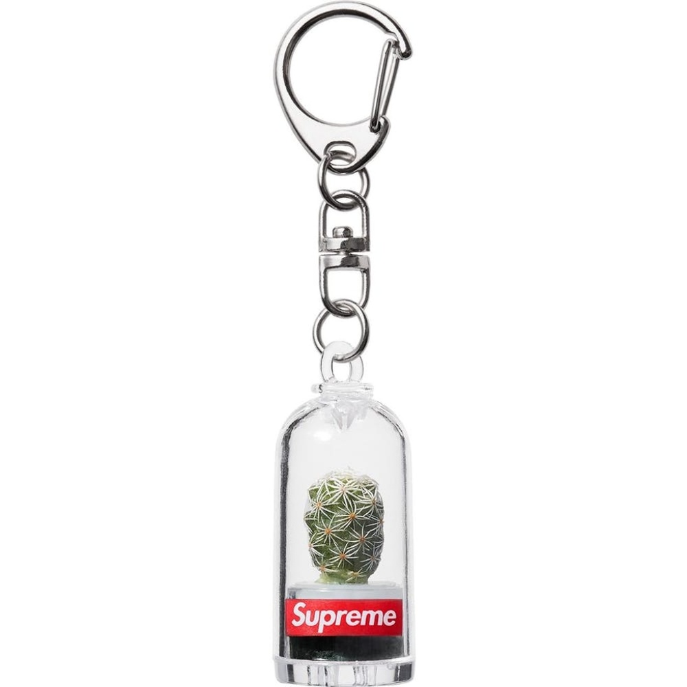 NWT SUPREME CACTUS KEYCHAIN